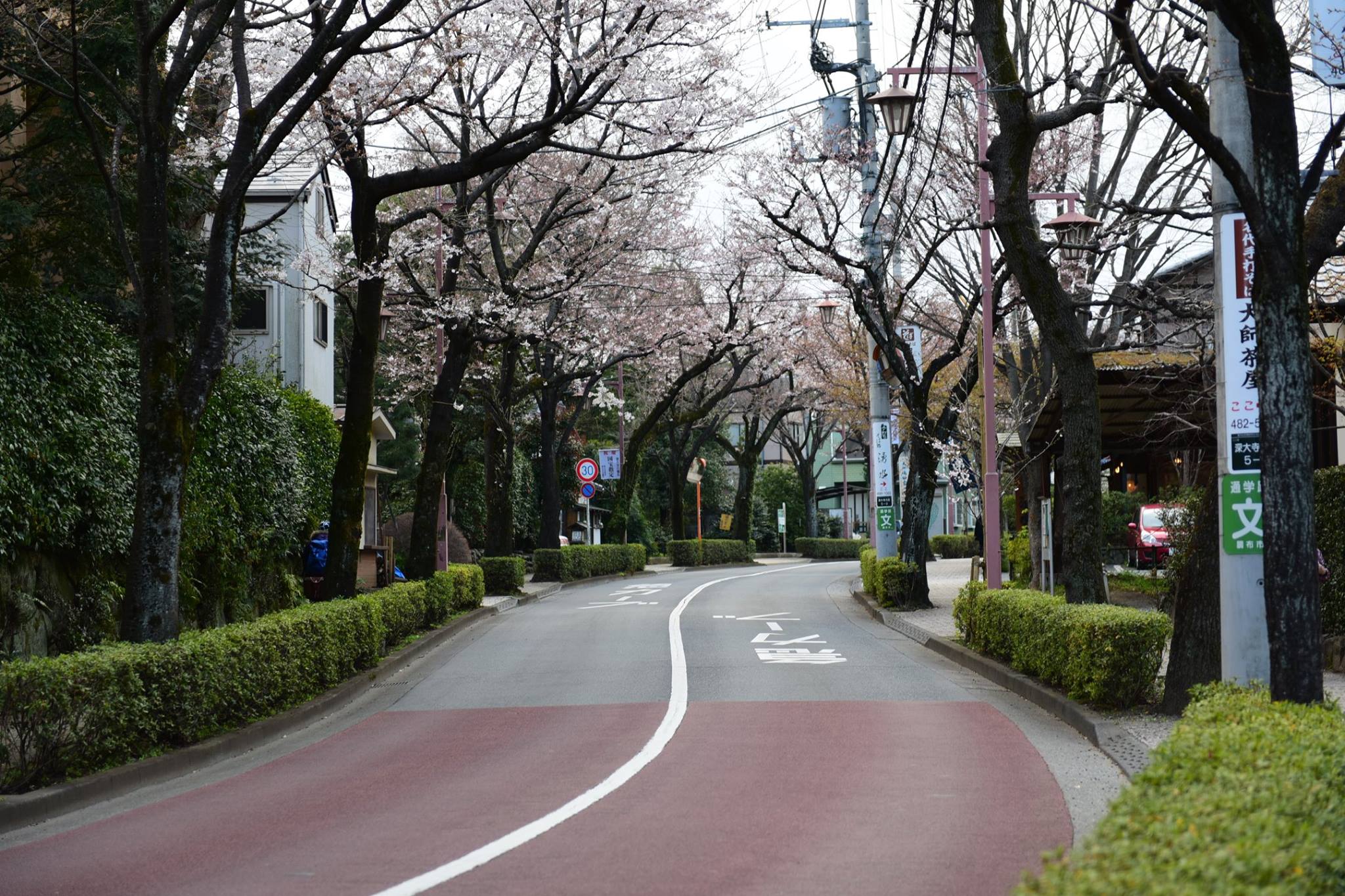 21368992_1849312748731048_7027858884629366385_o