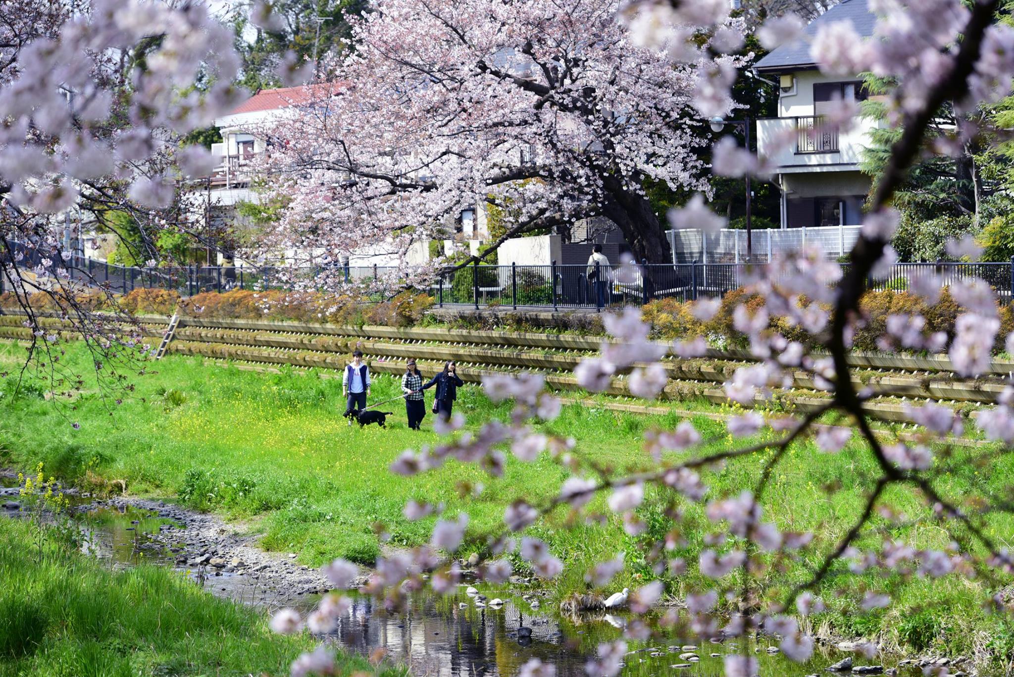 21427380_1849312068731116_235009764560964336_o