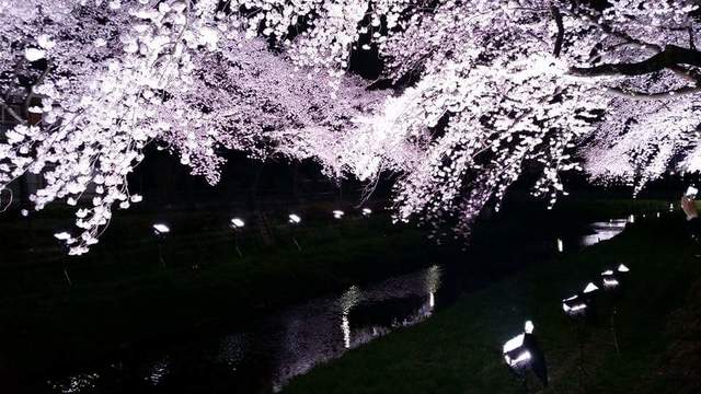 7e5ac1e59f3589442bb48b026479d7a4