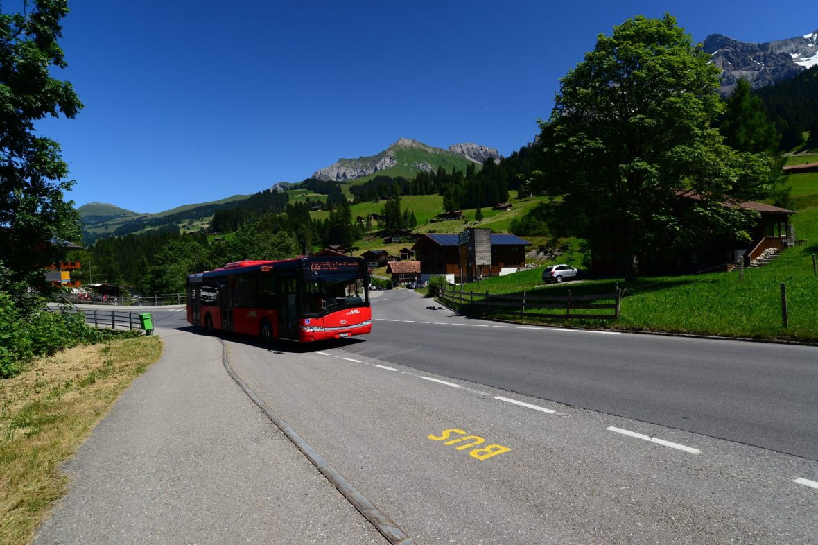 16252507_1729521777376813_535983481162232597_o