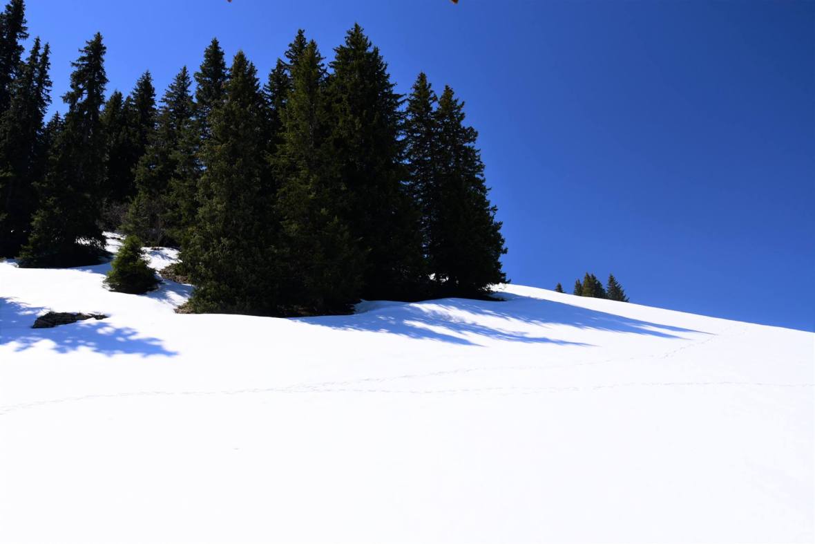 18491853_1790114674650856_3455128281517417400_o