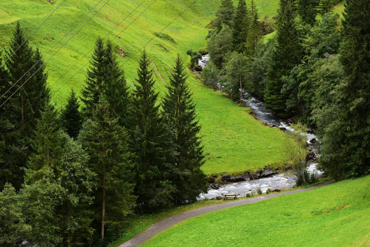 20045562_1861434307518892_8791361196043594738_o