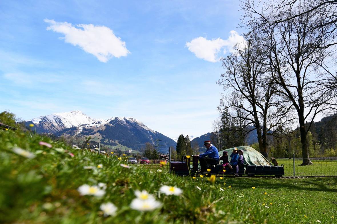 21765603_1857666521229004_215406535739737243_o