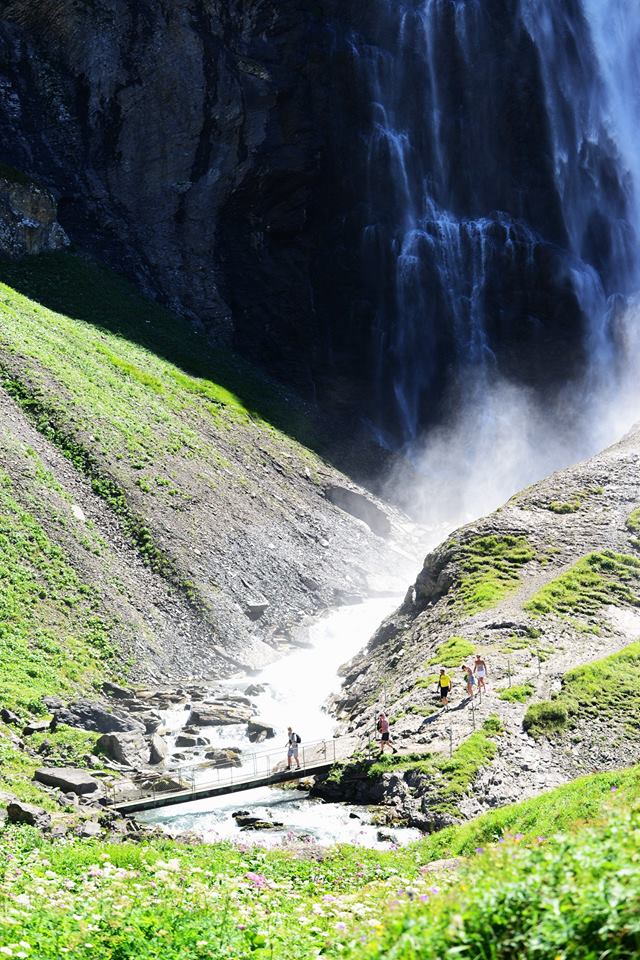 22090096_1861435230852133_4907783630567769797_n