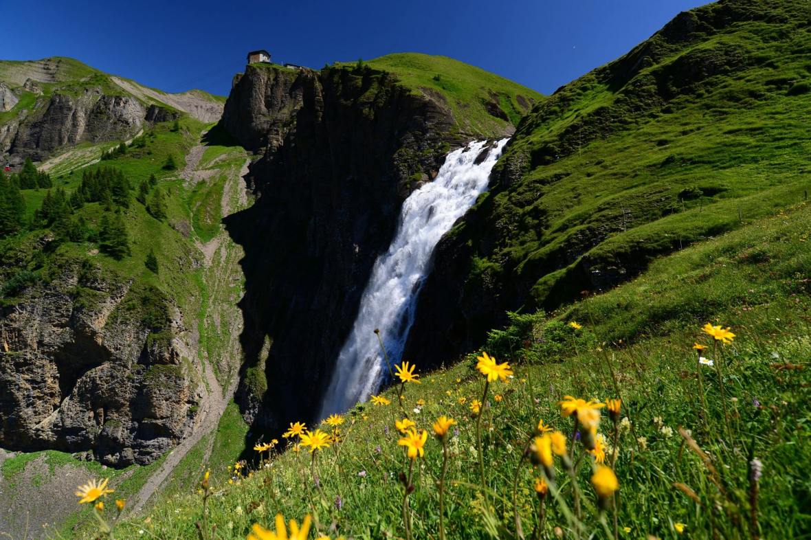 22104696_1861435500852106_3077433359001227827_o