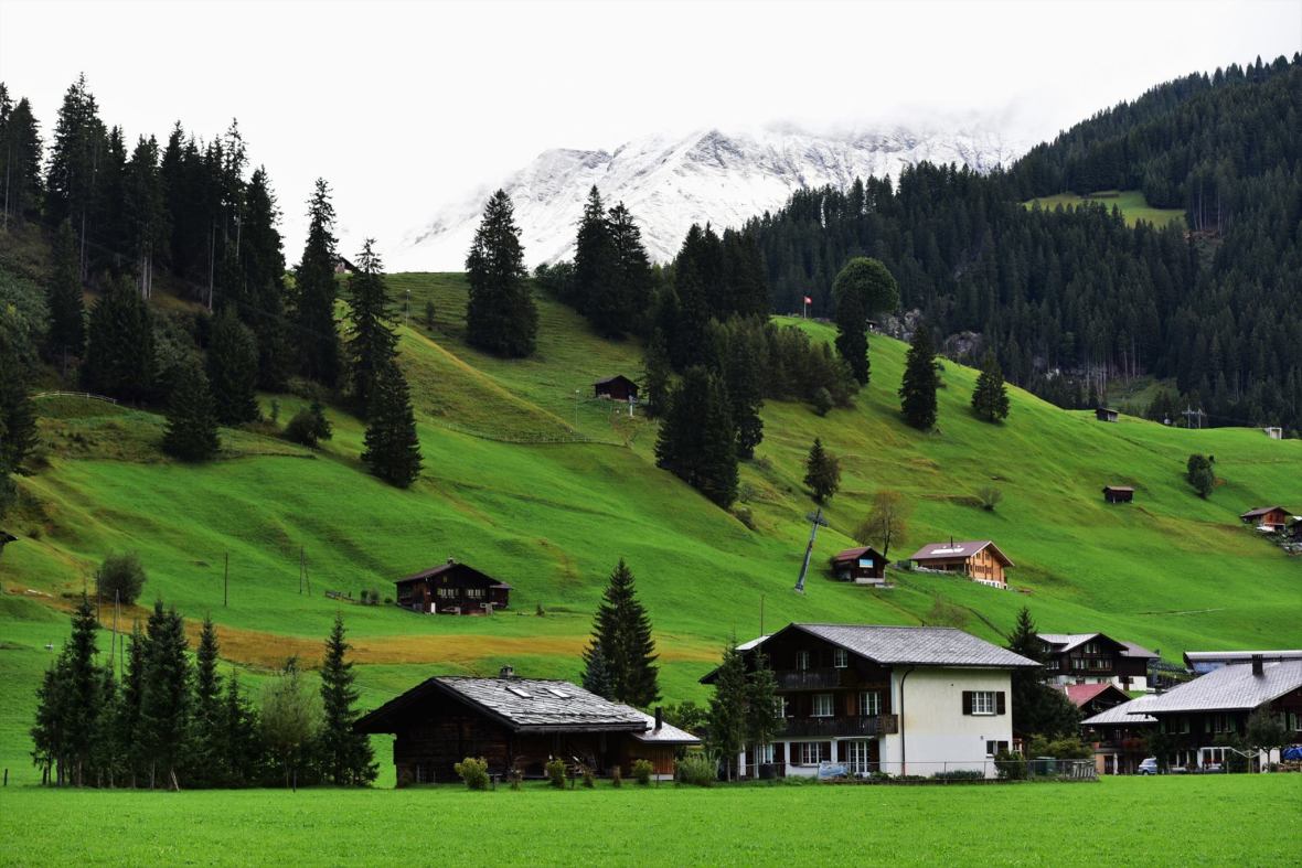 22135472_1861433494185640_636712439783848414_o