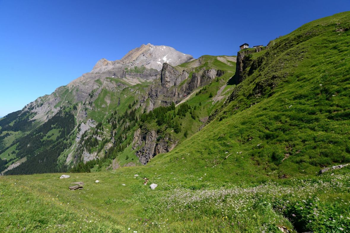 22135508_1861434620852194_5898988911146648577_o