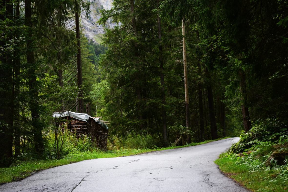 22135583_1861434250852231_1208869046927900254_o