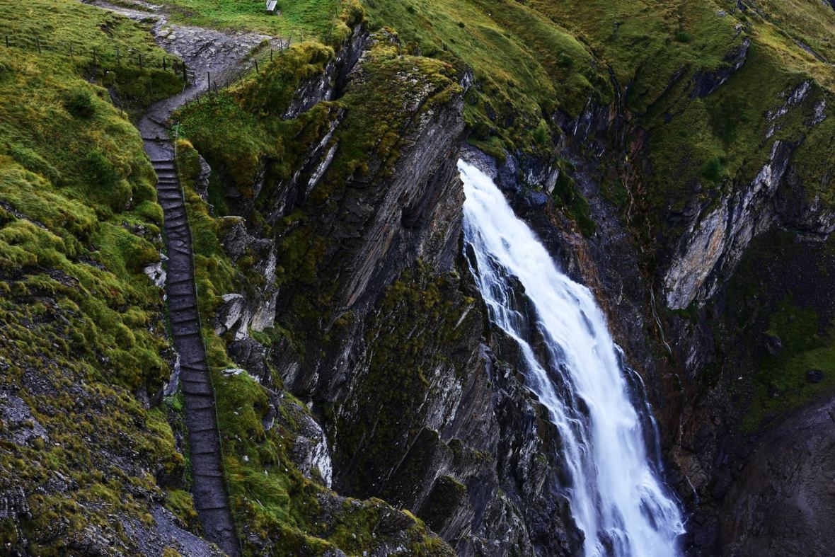 22137118_1368920356539324_8378148420780089130_o (1)