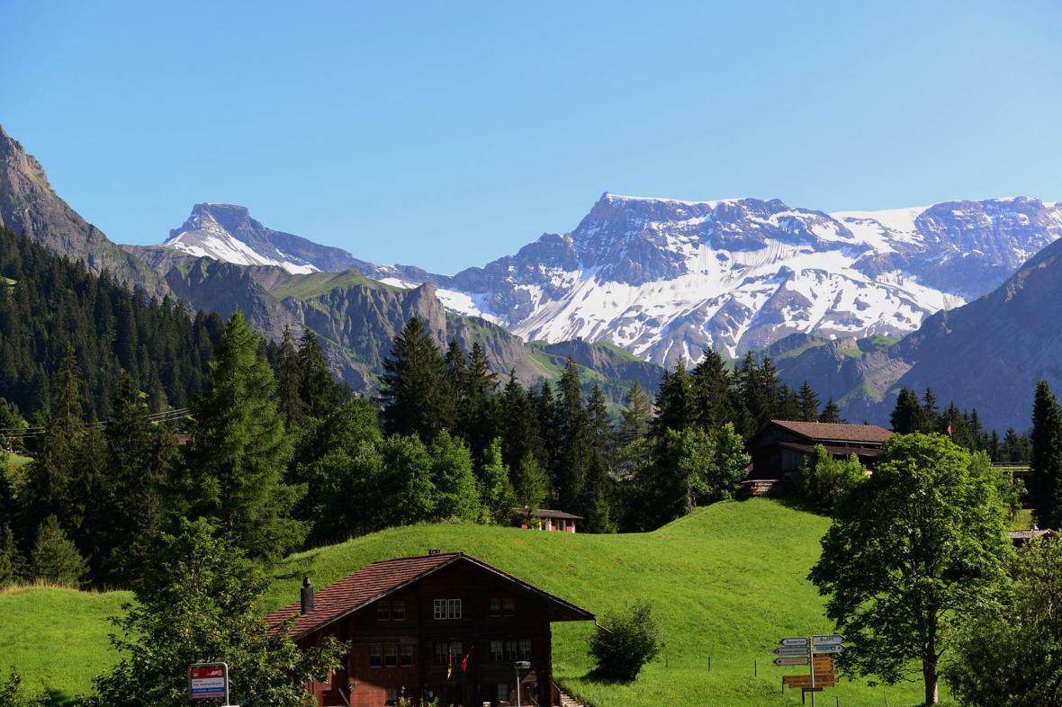 22179734_1861434874185502_1095781411713350544_o