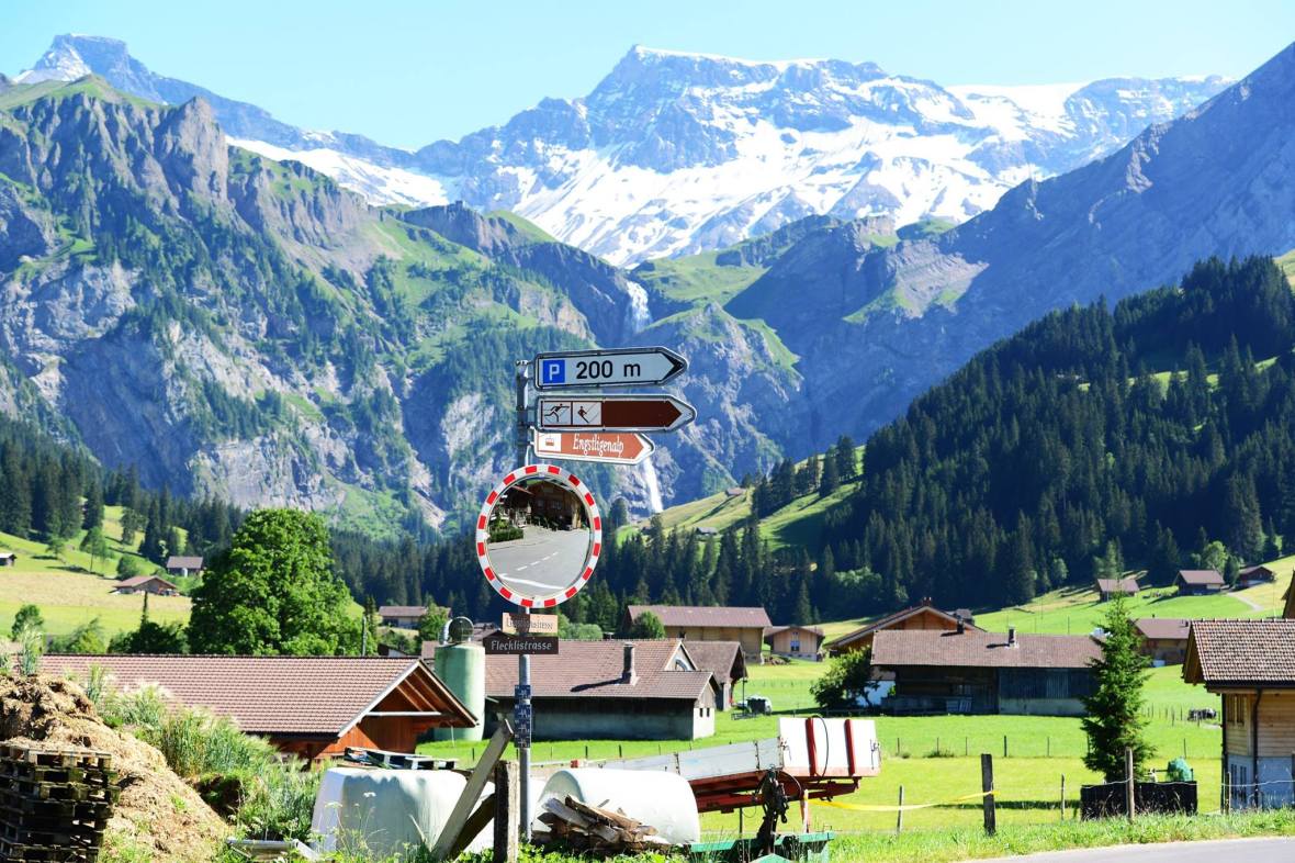 22179753_1861435007518822_349903325719290398_o