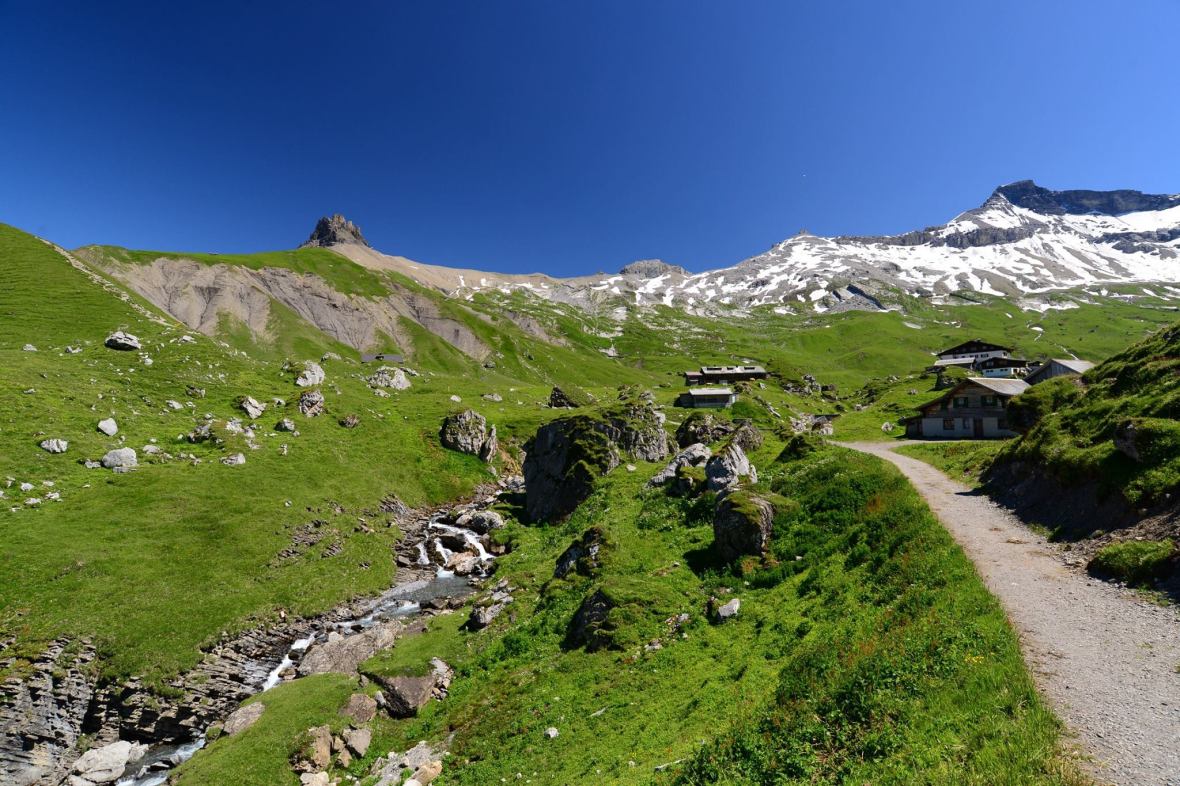 22179944_1861434534185536_4537030817216411795_o