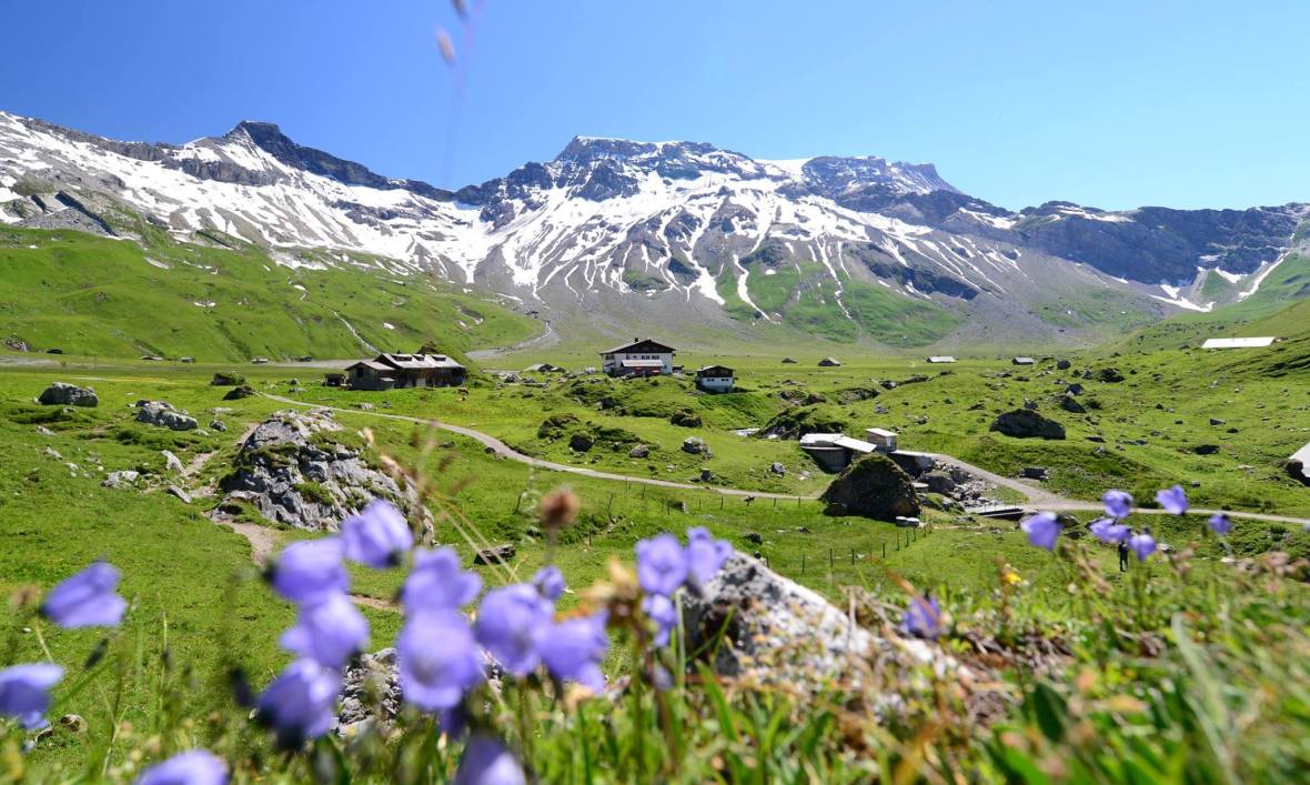 22181514_1861434490852207_8974446207697268720_o