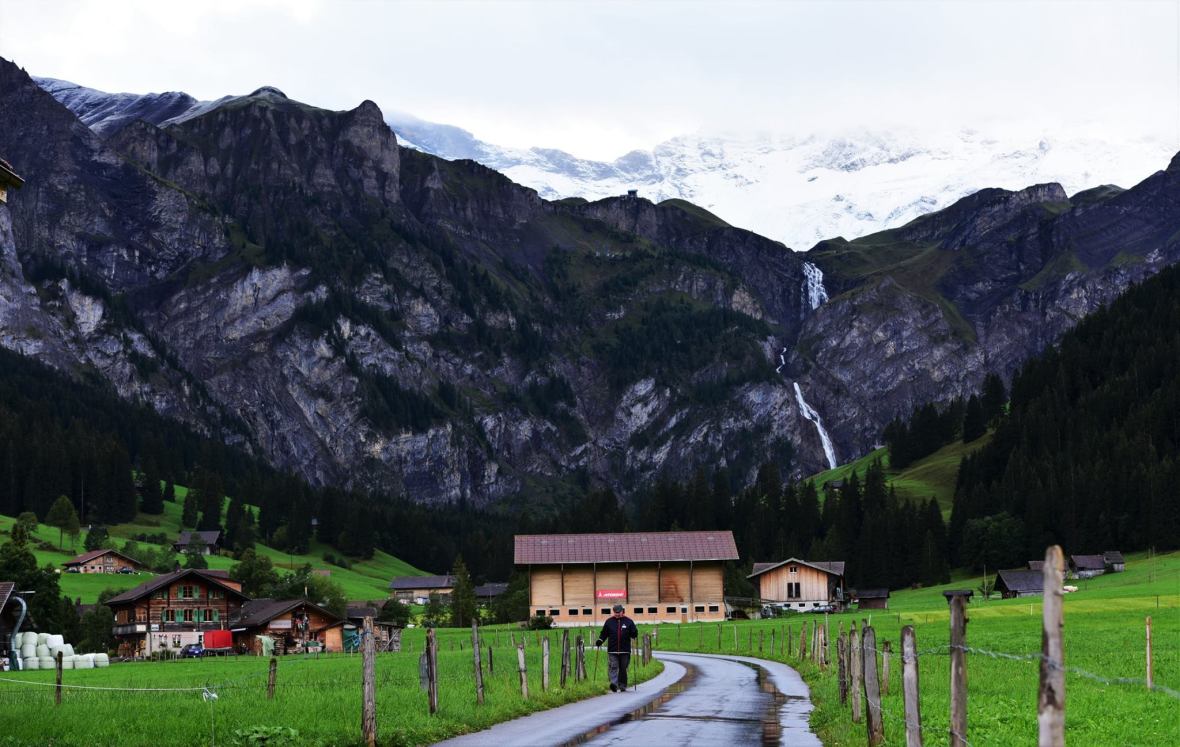 22218223_1861433384185651_301550671882522924_o