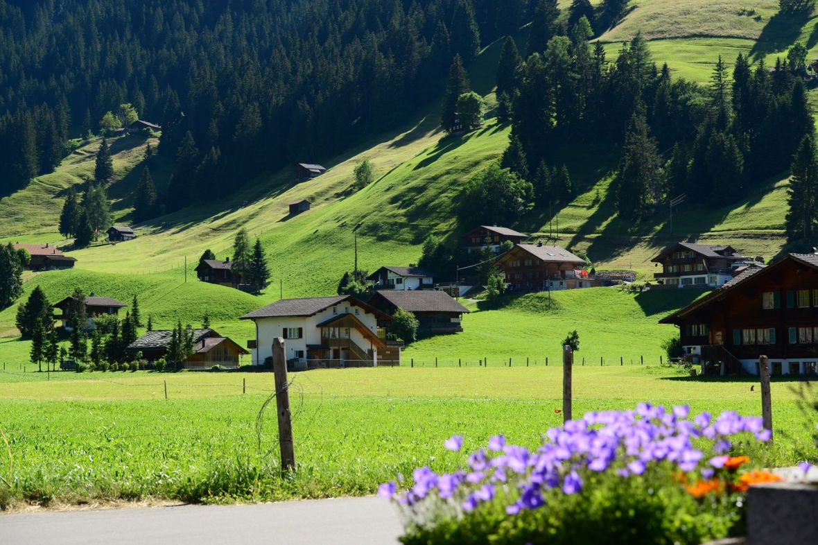 22219739_1861435070852149_7885861994177116781_o