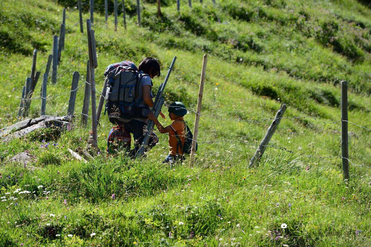 22220054_1861435604185429_540801452861650832_o