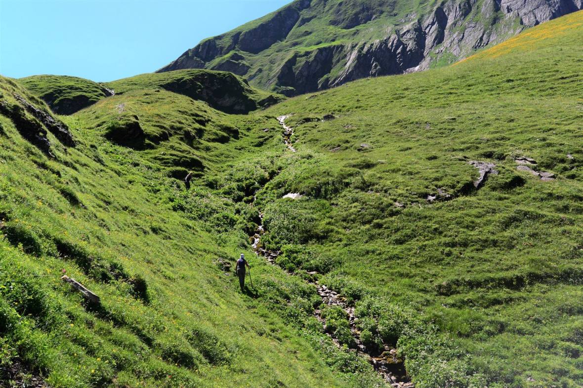 22256621_1861434580852198_700008323200677992_o