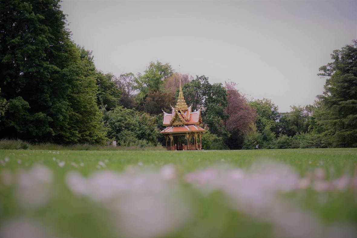 22538668_1380084565422903_2496682564559204148_o (1)