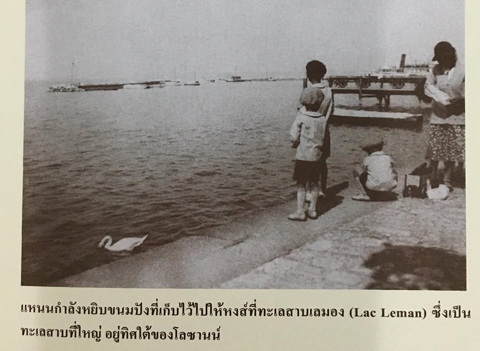 23172836_1876380102690979_73890869683054433_n