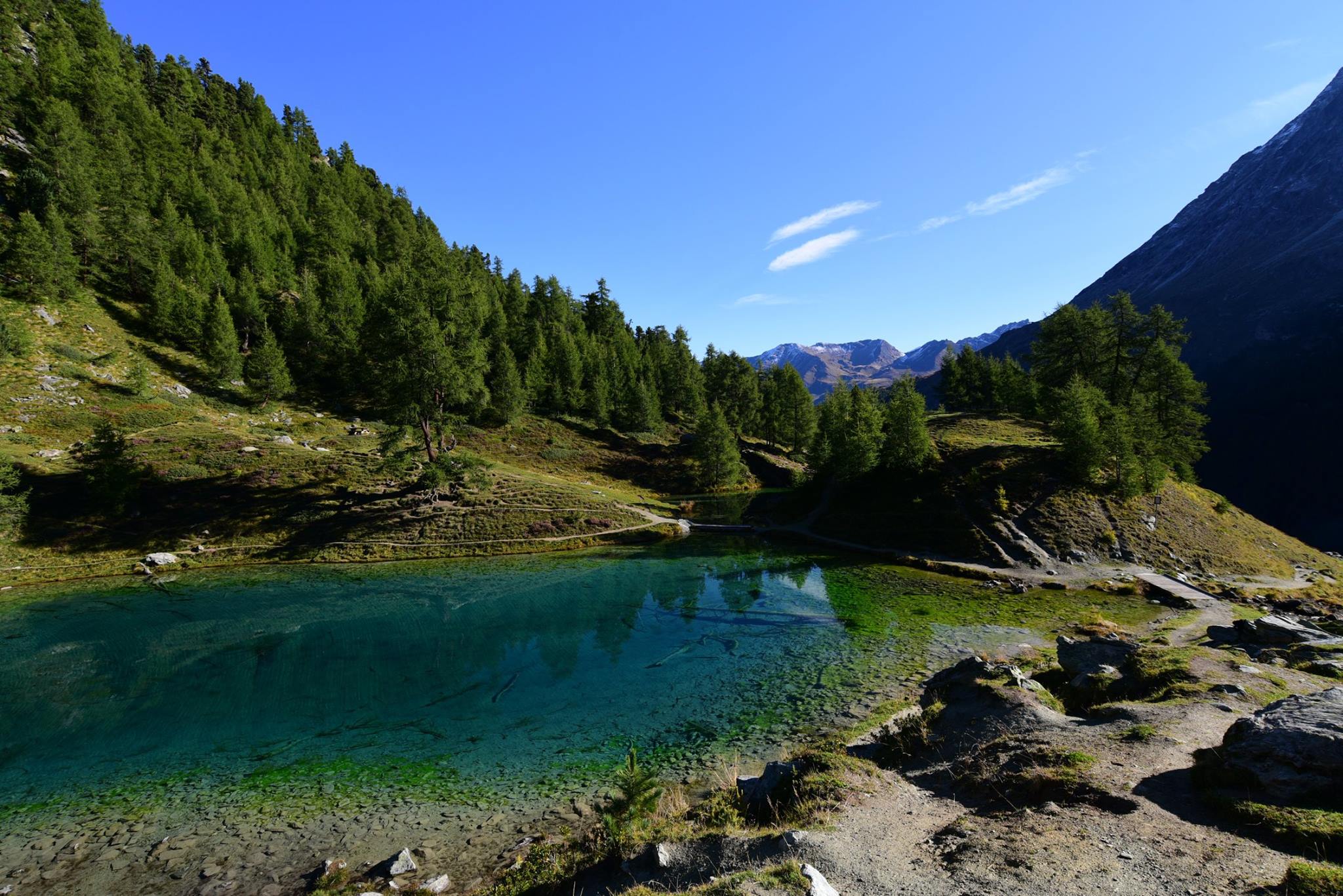 25074948_1893793914282931_2383584277673905240_o