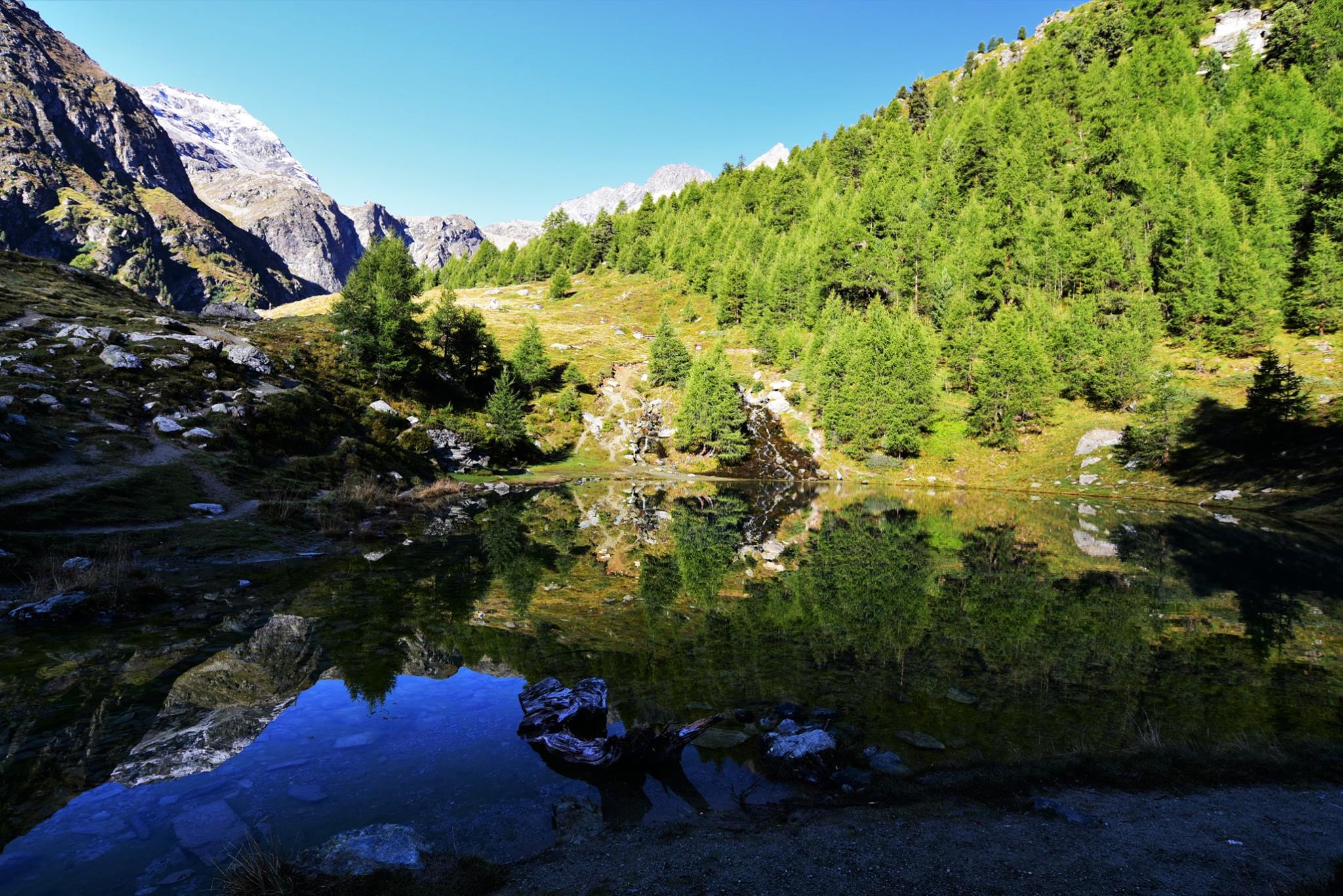 25075112_1893790424283280_3643680633430625956_o