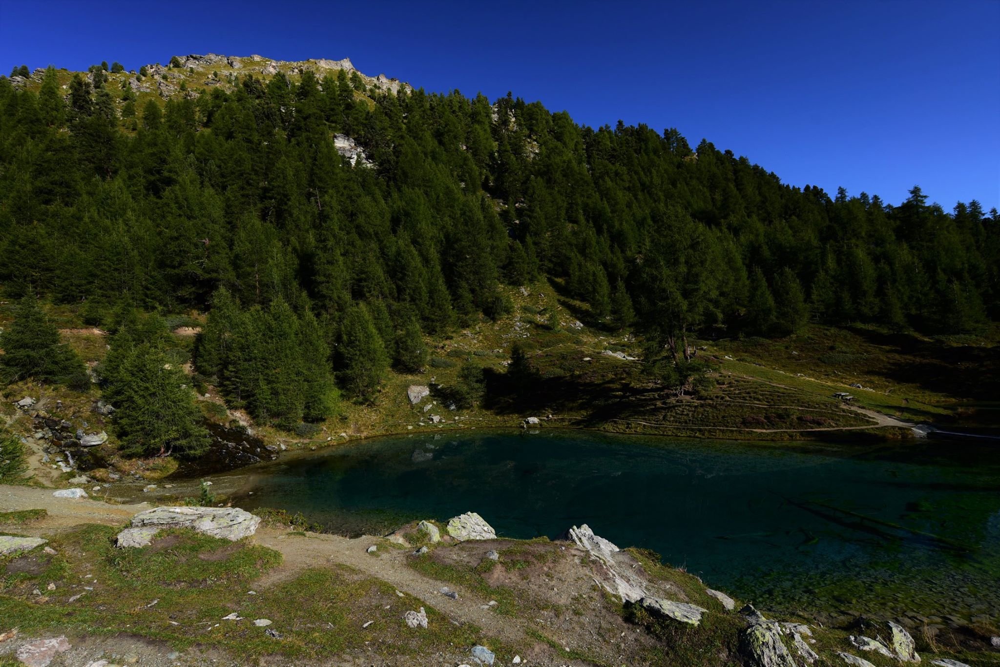 25075118_1893793747616281_911472565662340960_o