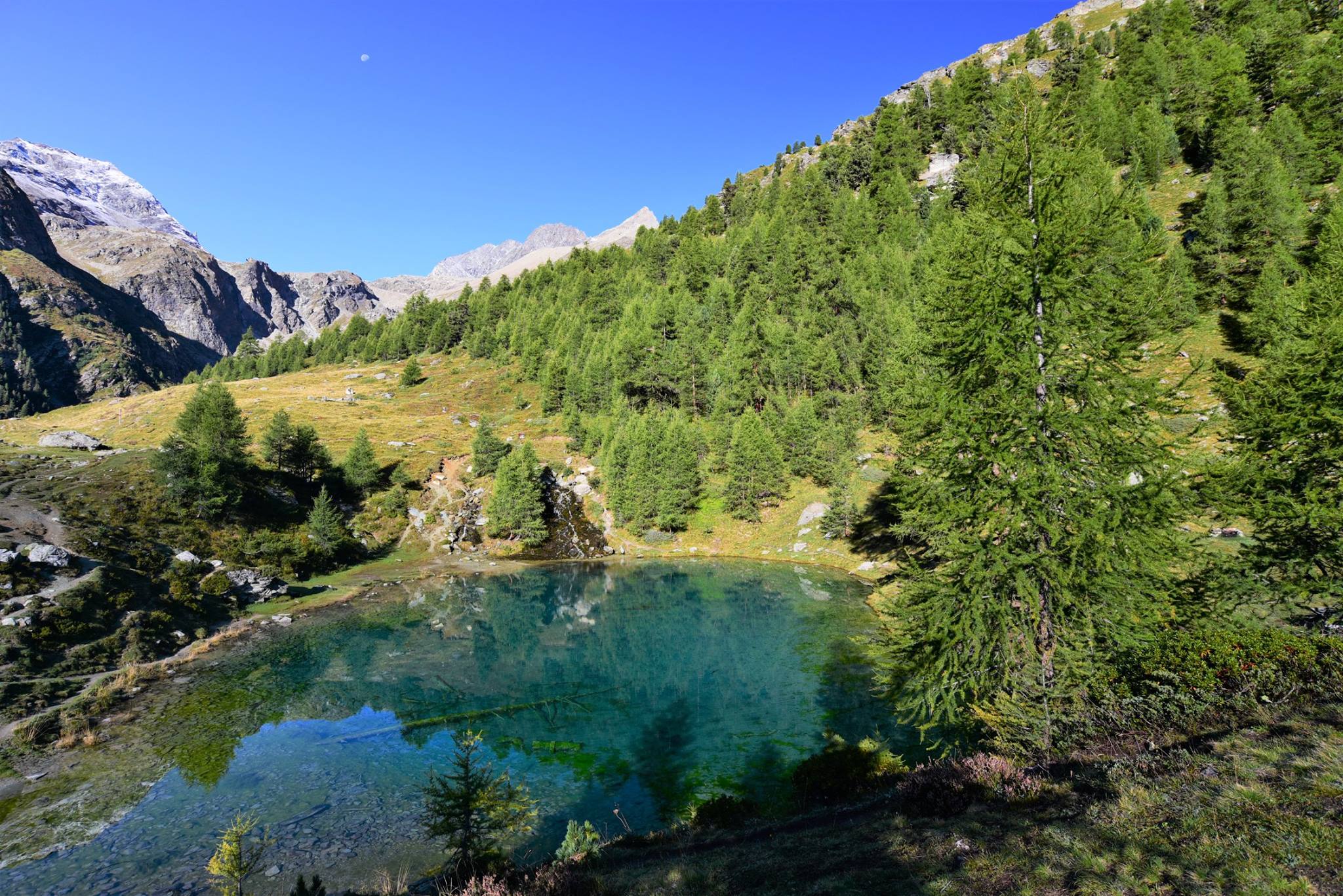 25182258_1893793387616317_1041617515007916994_o