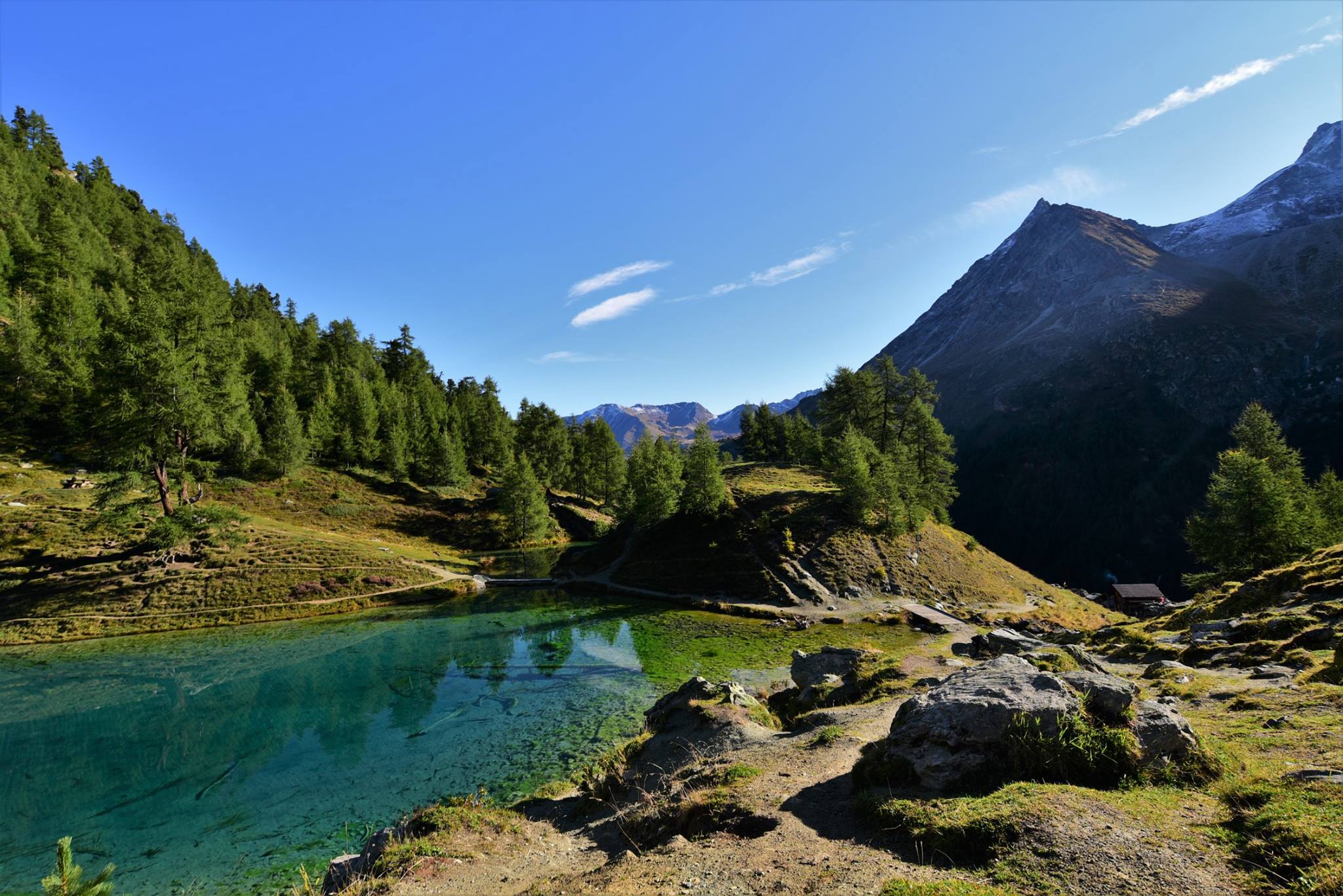 25299673_1893793890949600_6808037524287150464_o