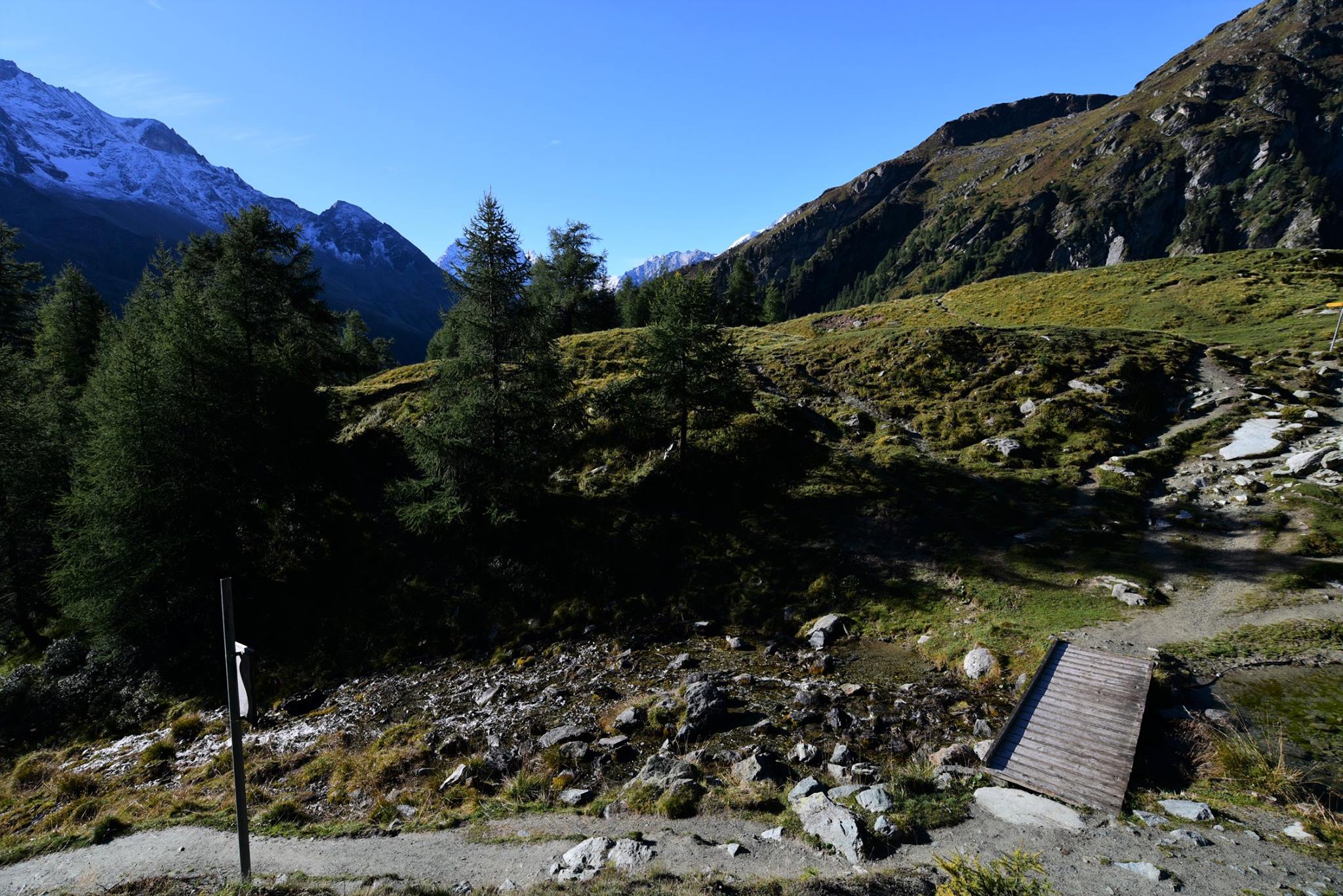 25299862_1893793580949631_2689750491911428654_o