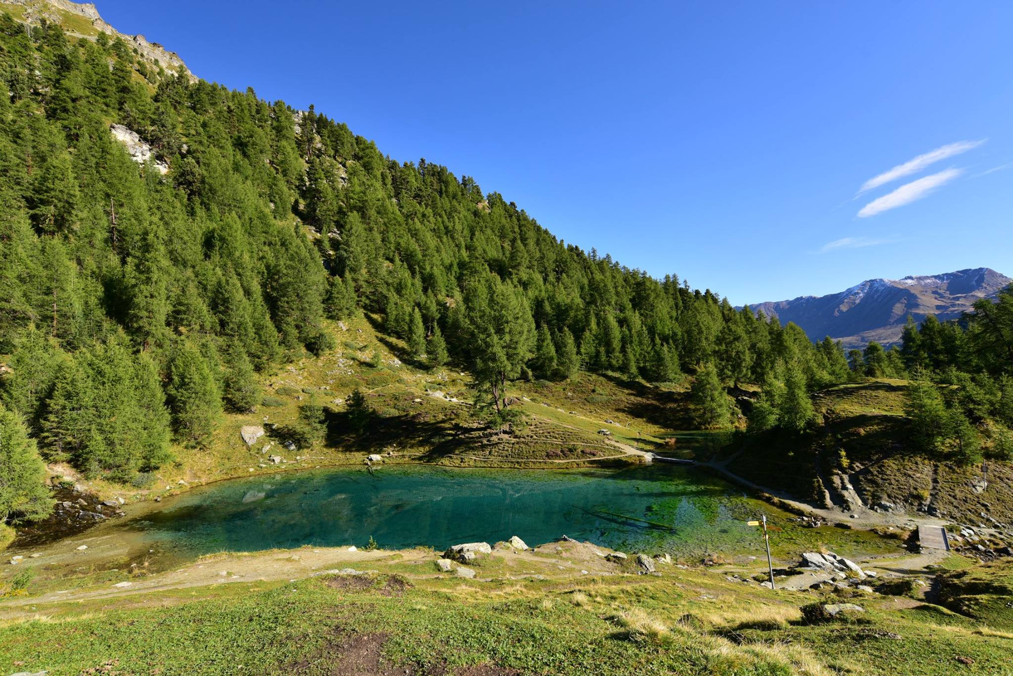 25299917_1893794264282896_3537571339068476255_o