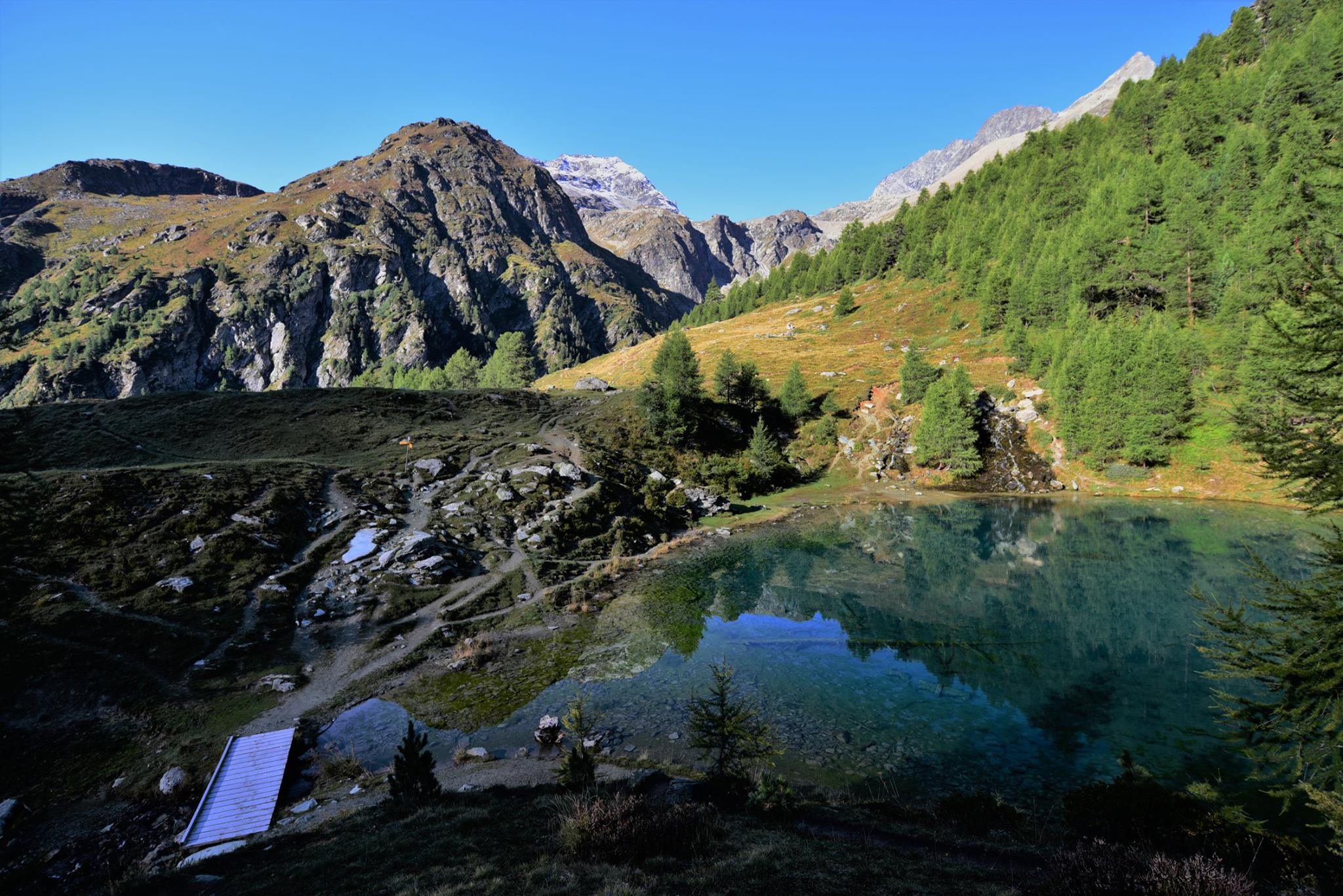 25311273_1893790477616608_5314876198880418566_o