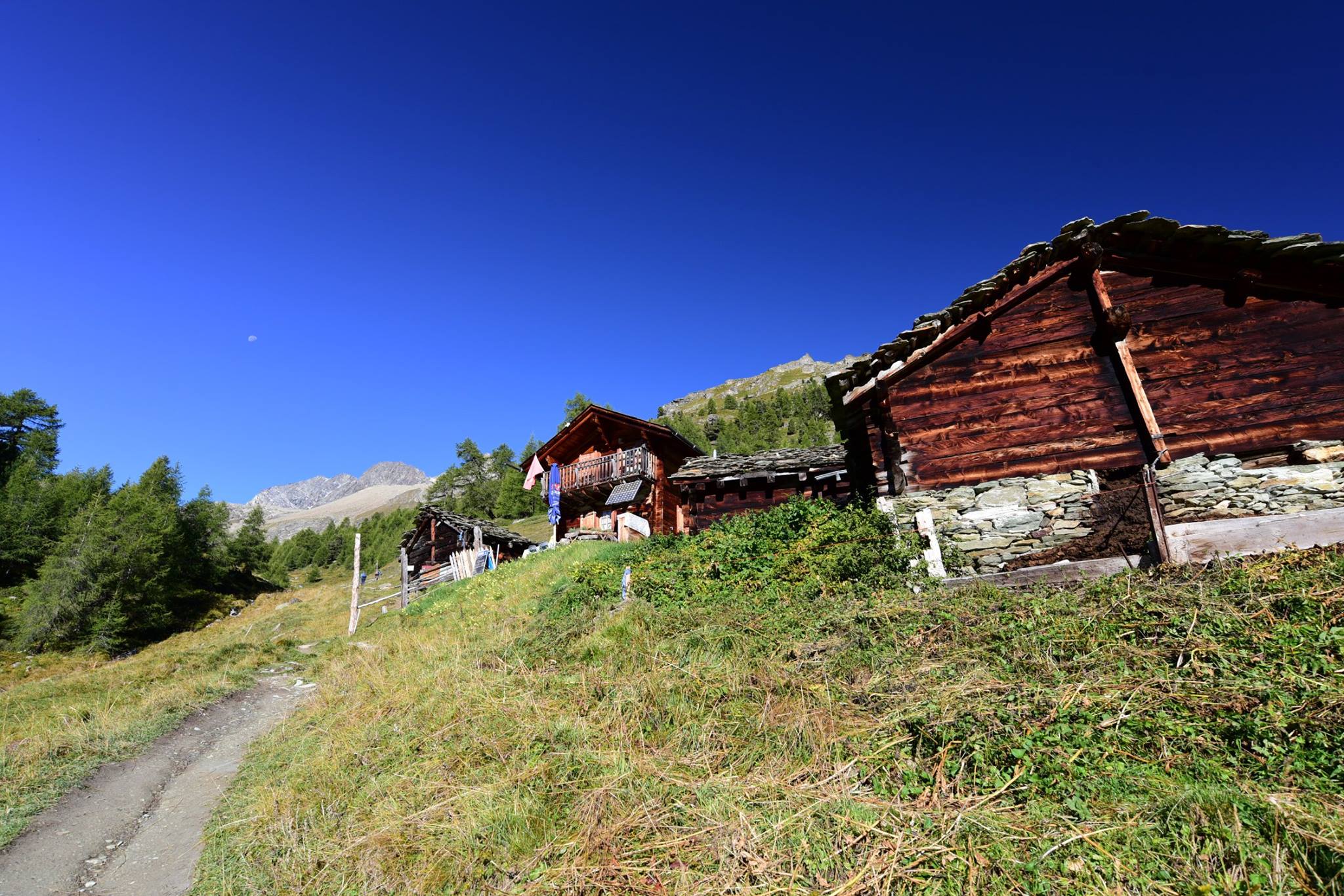 25311395_1893794077616248_1569509807509380035_o