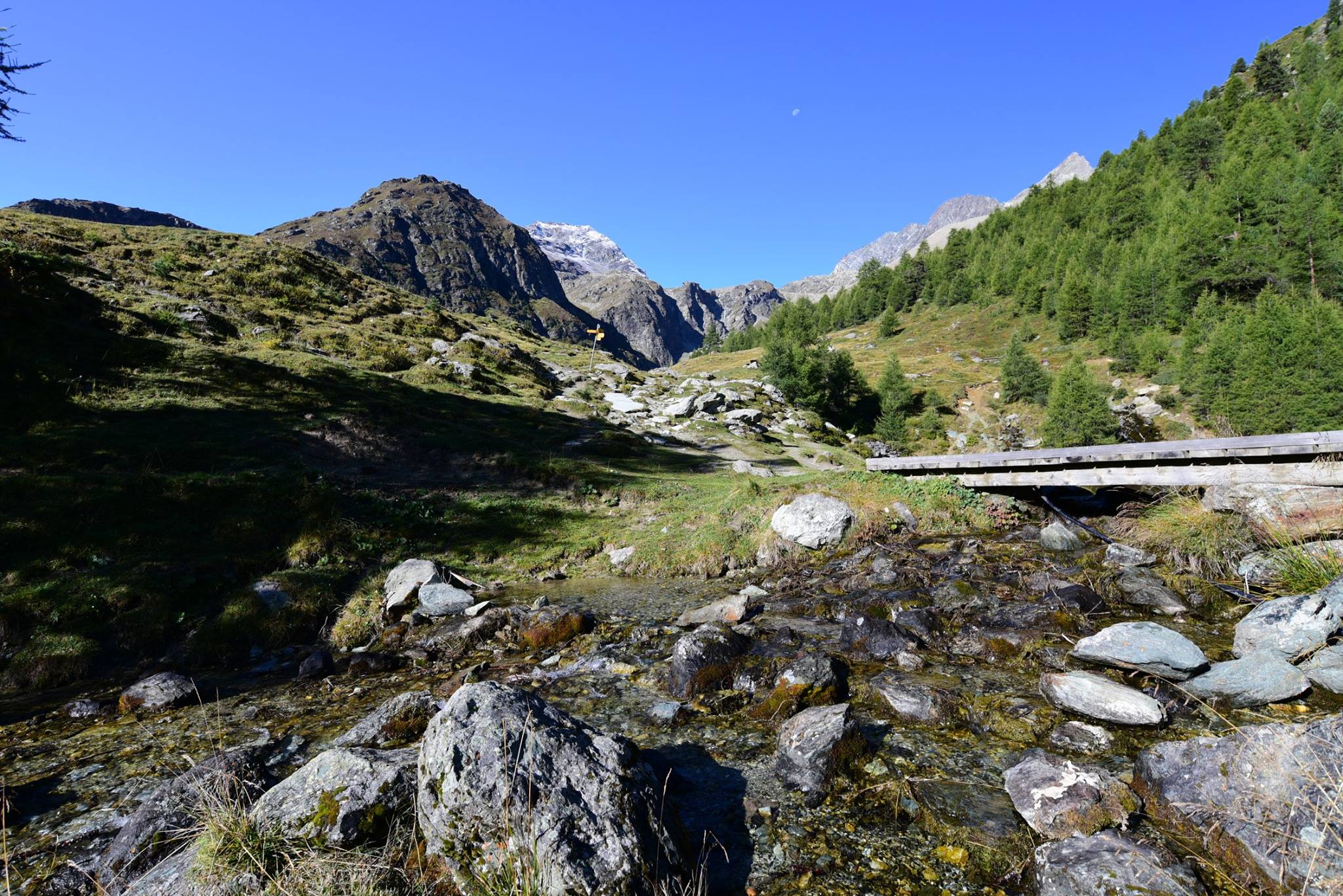 25351909_1893793994282923_7765417254333554731_o