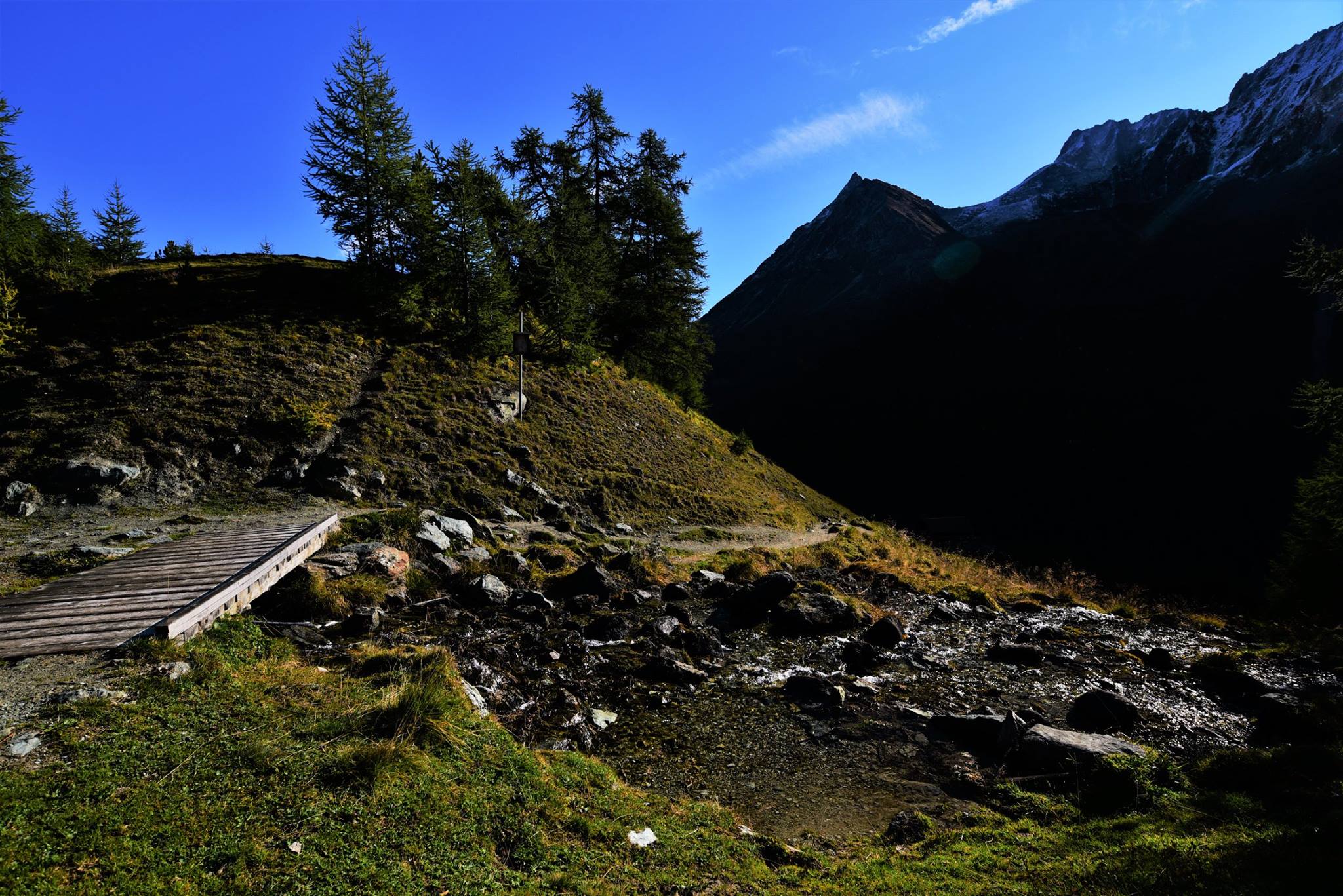 25352028_1893793654282957_6471482260852509573_o