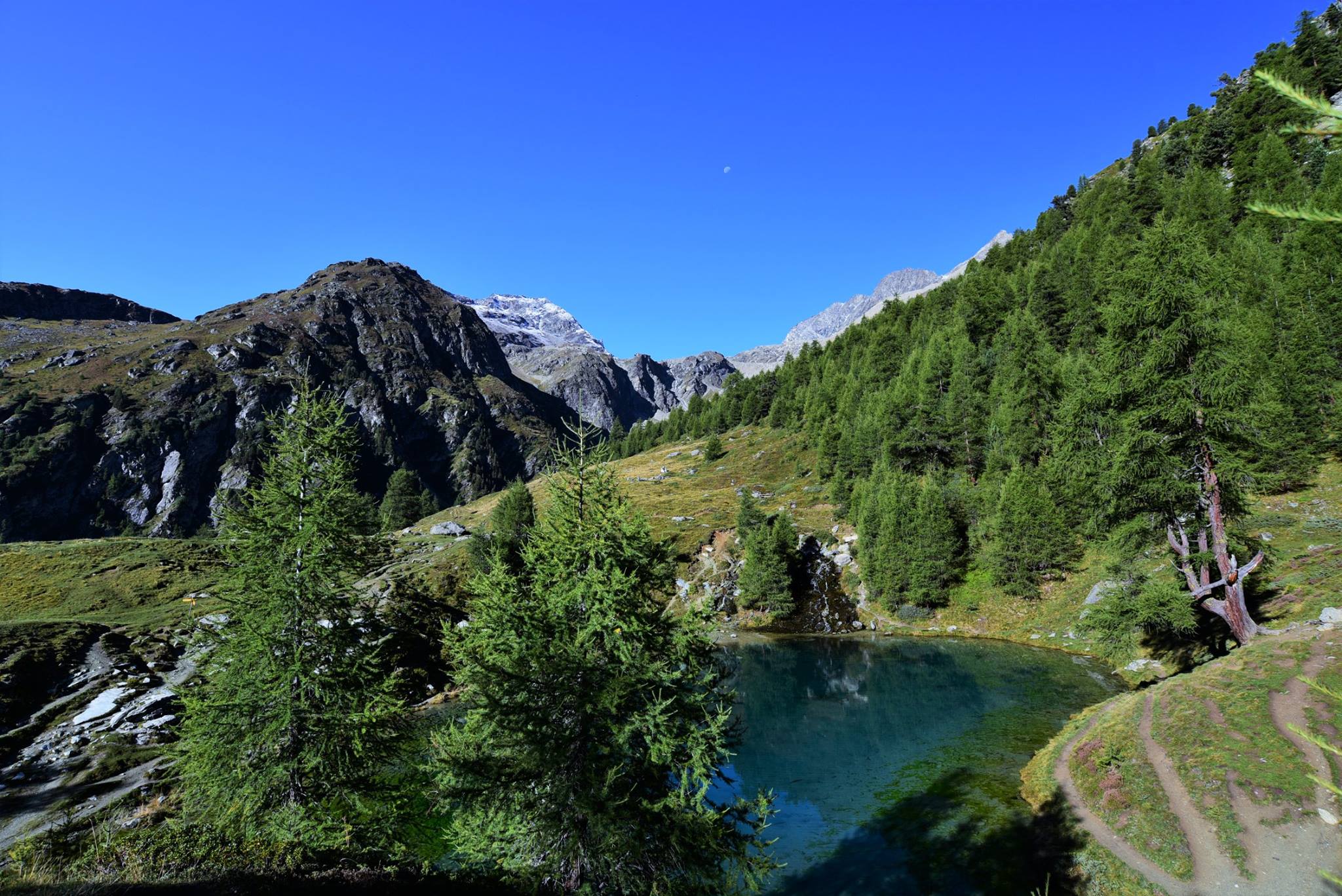 25352104_1893793467616309_5464637237472516935_o