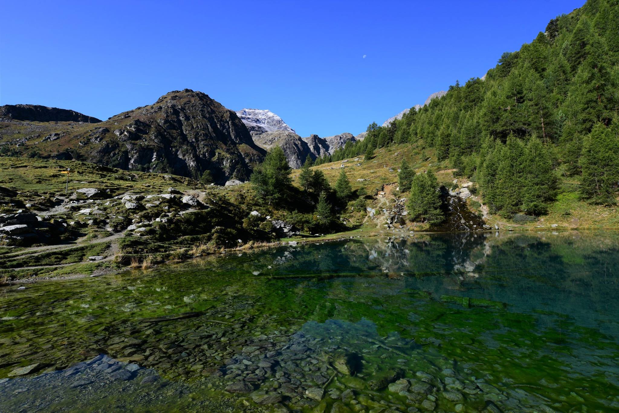 25352132_1893794054282917_5339638547169623173_o