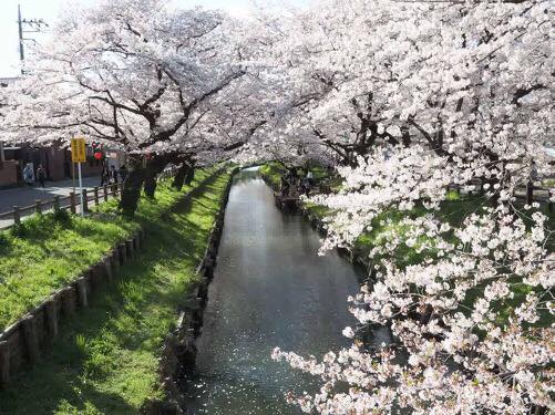 17884122_1216258478472180_7718702928808450315_n