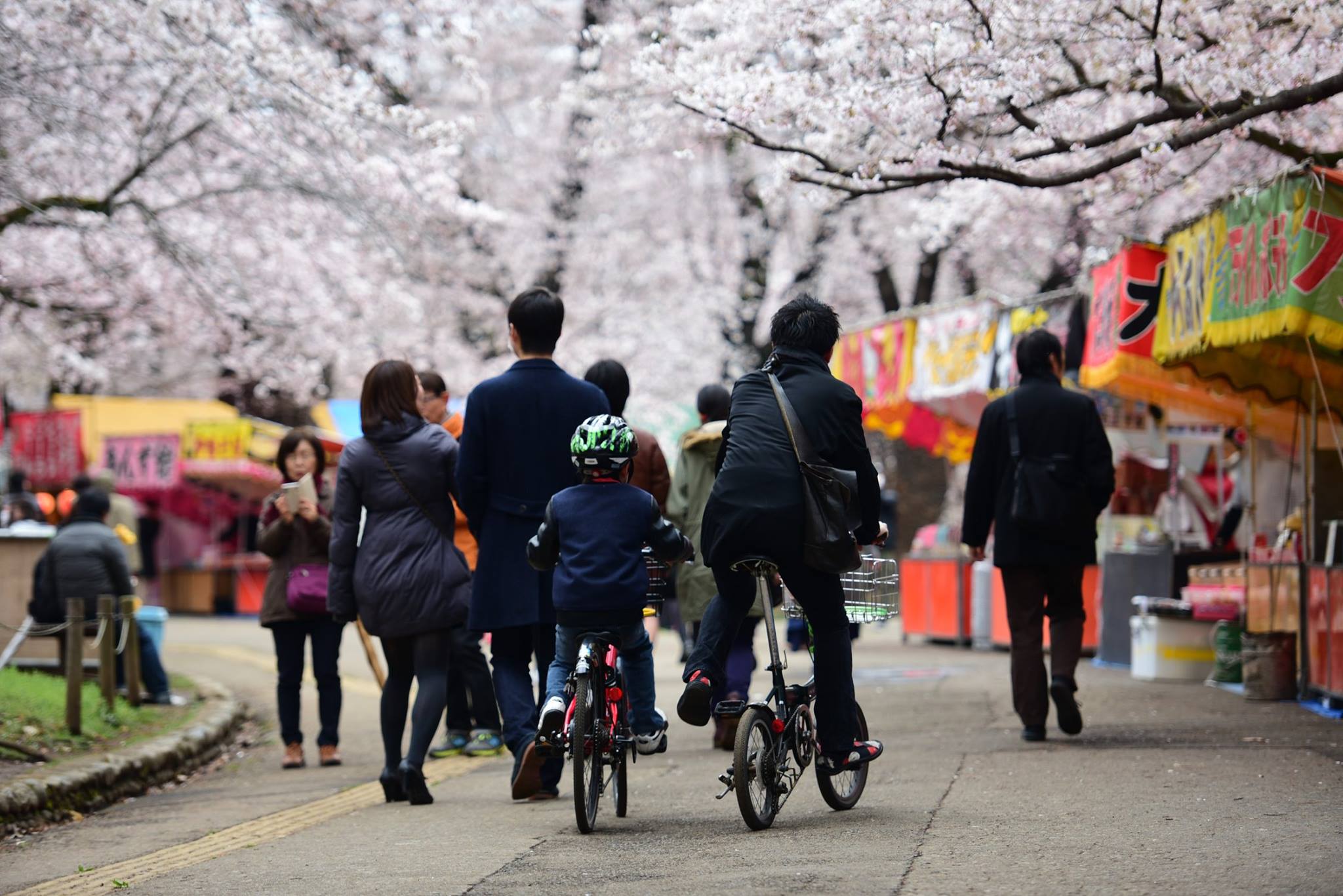 21688164_1914352678893721_8374027241143964740_o