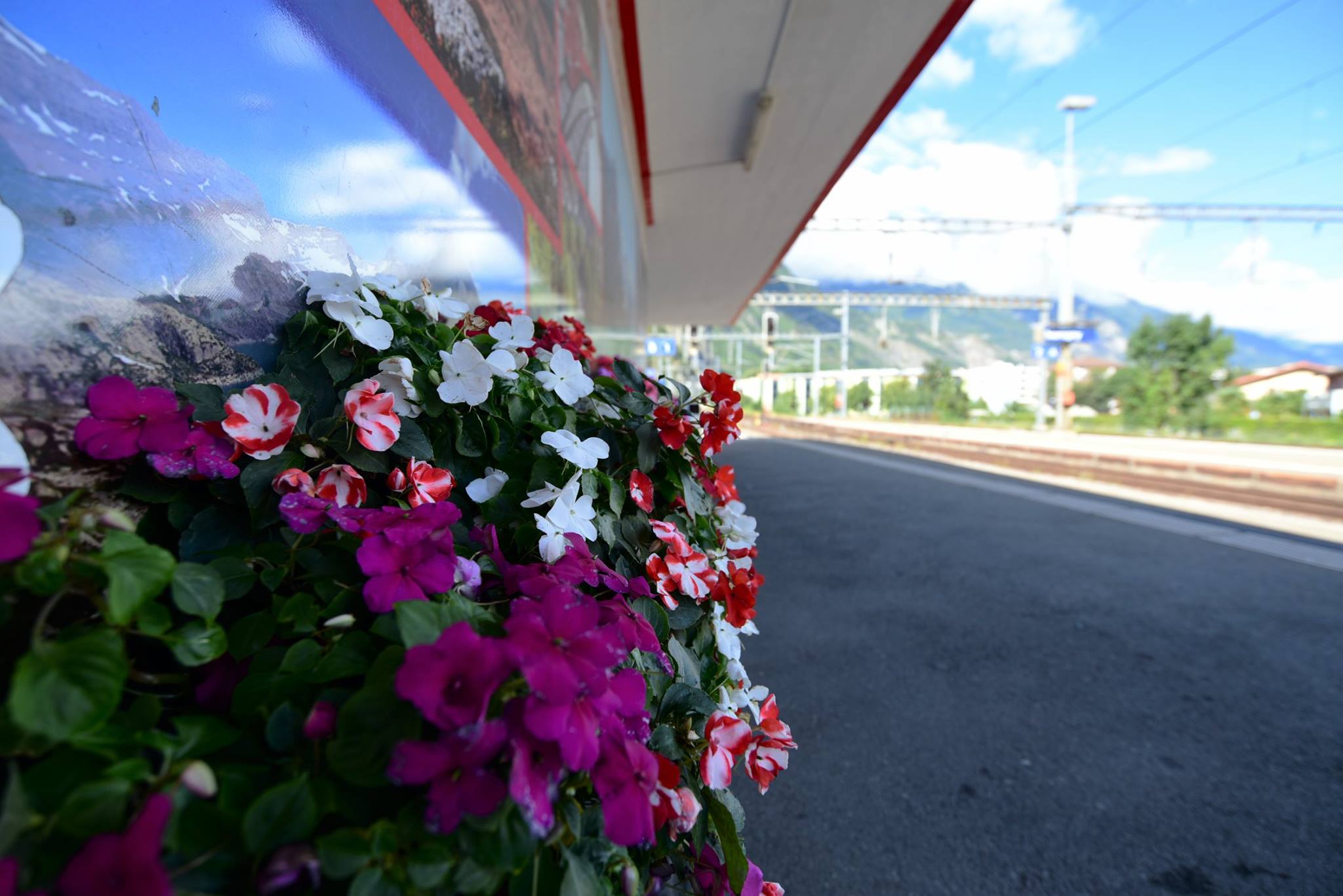 26758562_1910680175927638_235123275875086100_o