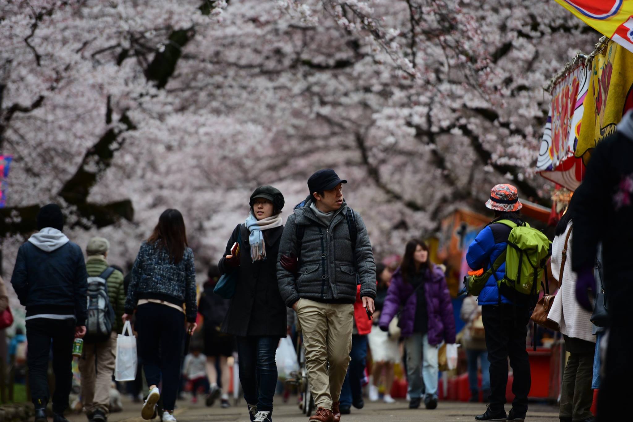 26850864_1914353032227019_498965111969329749_o