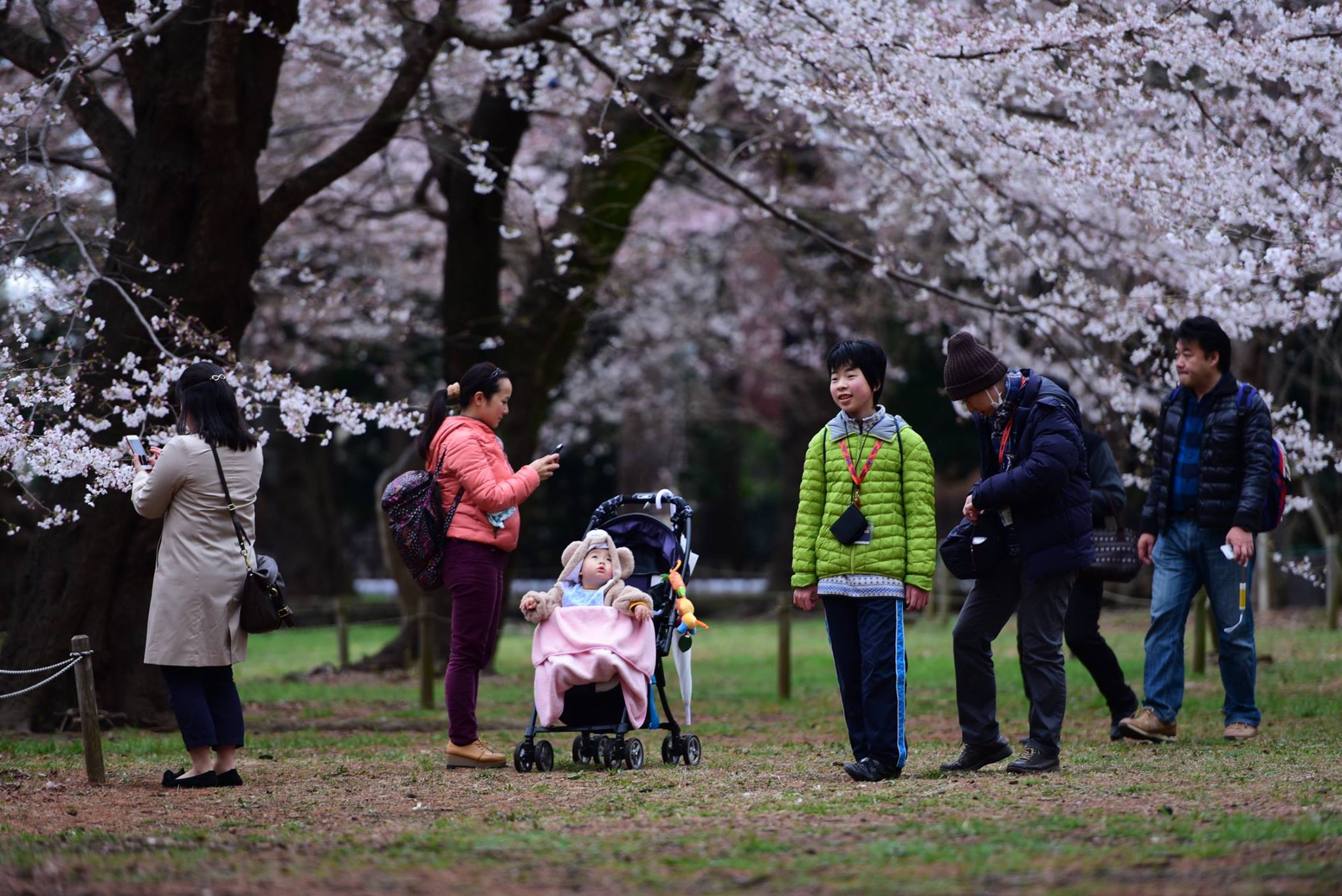 26910450_1914352765560379_6699368108973966331_o