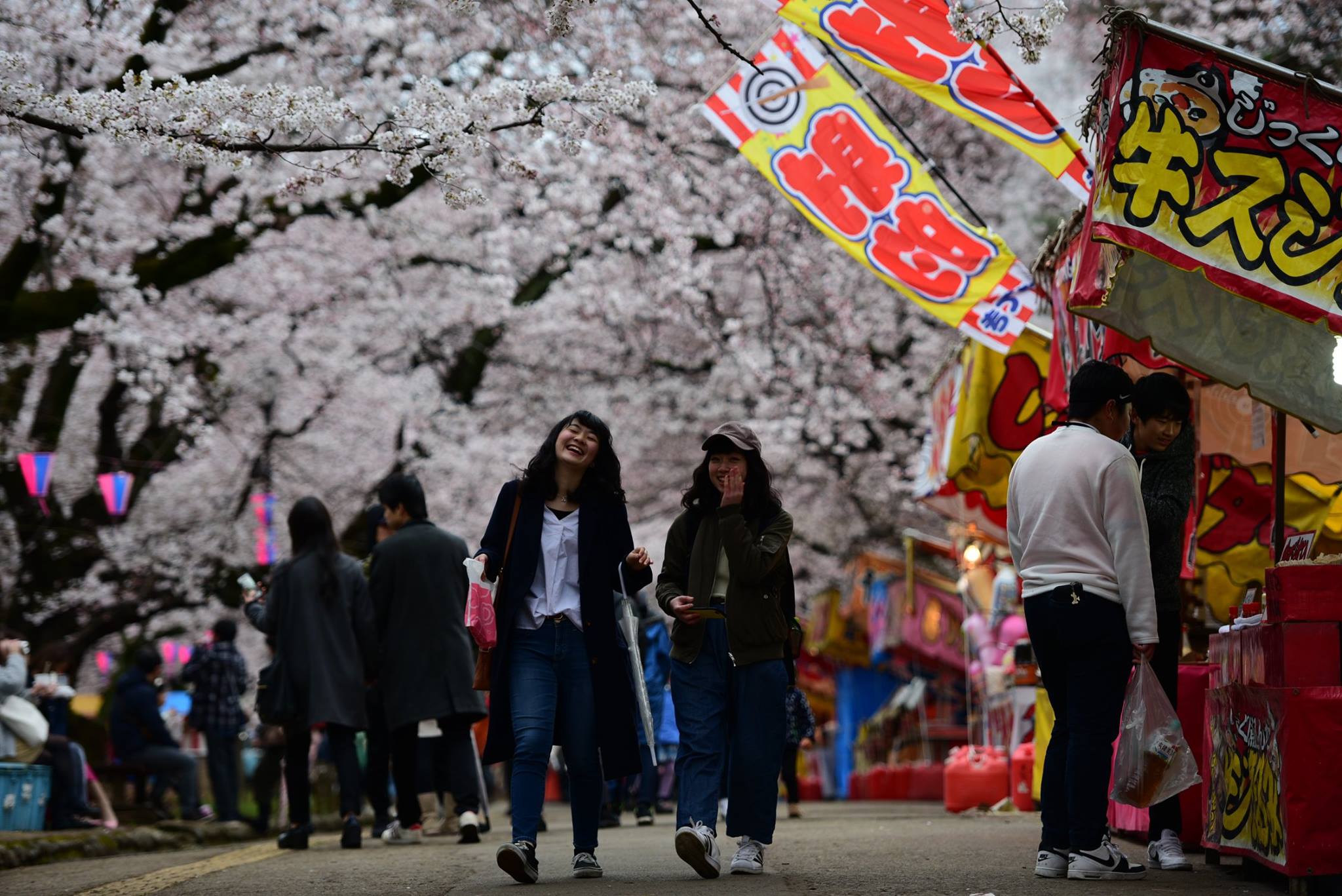 26910541_1914353058893683_5632932835766407155_o