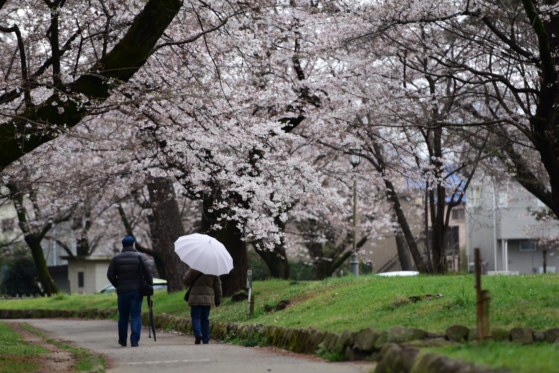 26910779_1914352865560369_6857639556943255921_o