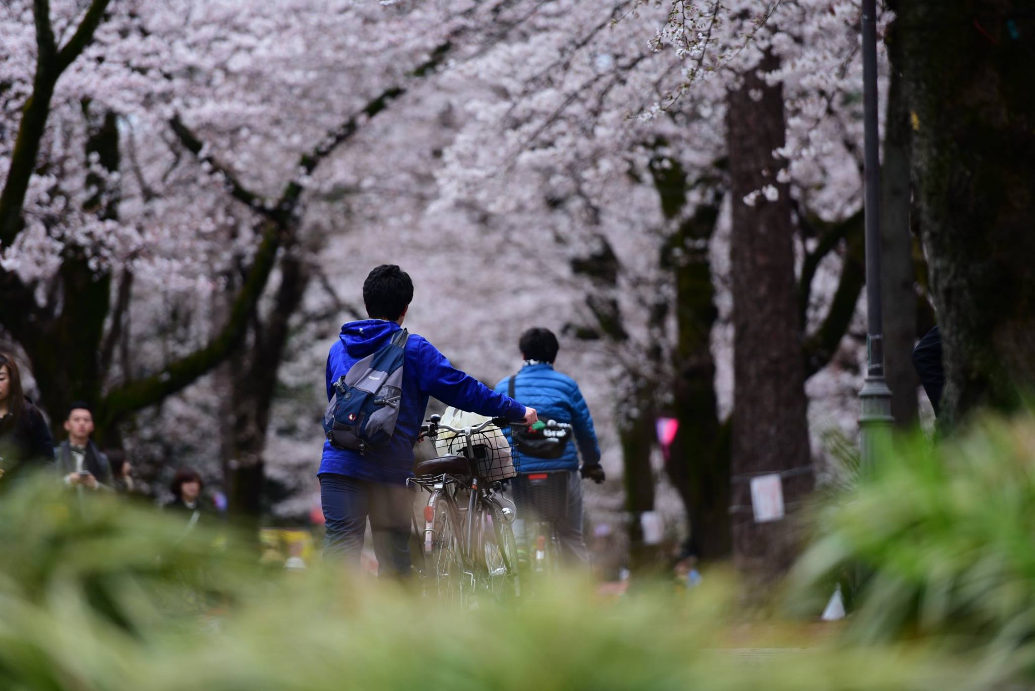 26952169_1914353122227010_6305944607808143816_o