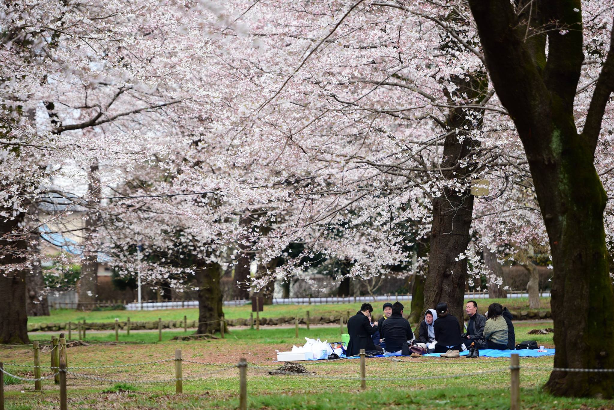 26952675_1914352625560393_8055732499536389524_o