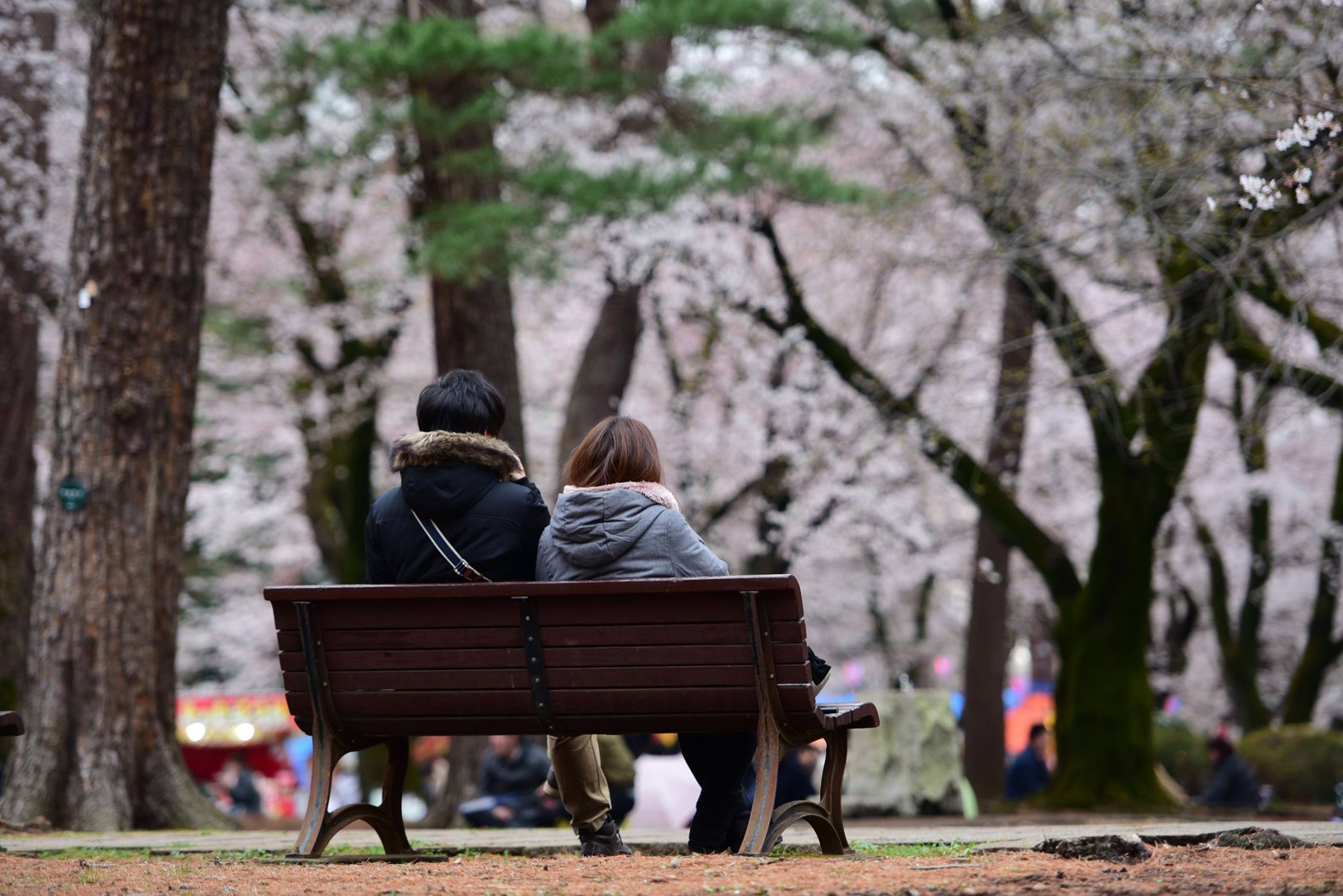 26961715_1914352992227023_7089773338939004464_o