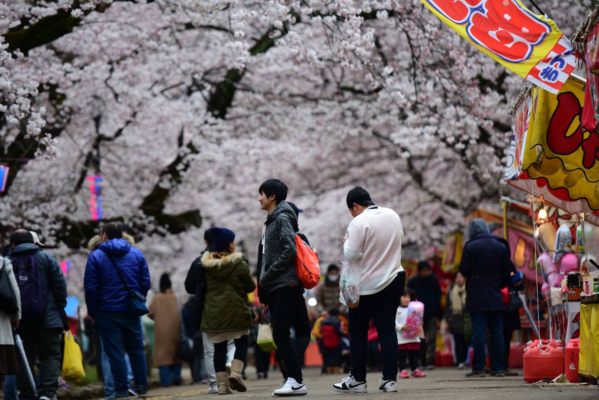 26961788_1914353092227013_7822298501667406669_o