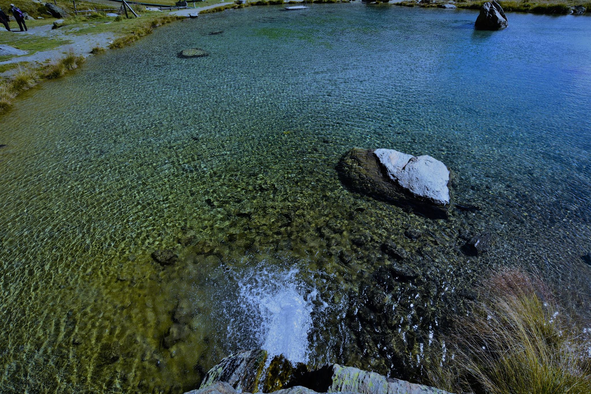 26962096_1913752745620381_837374123160501668_o