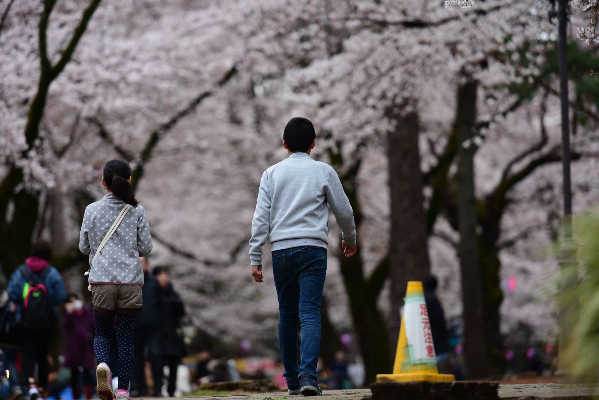 27021292_1914352898893699_5480720995397030503_o