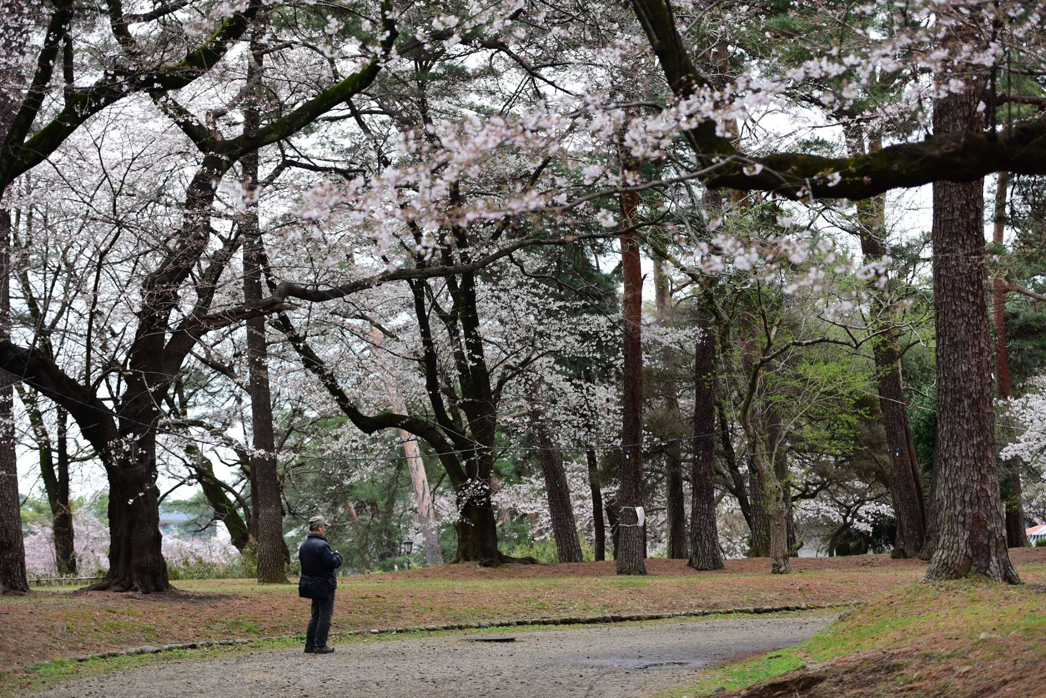 27021507_1914352545560401_3683355617802431277_o